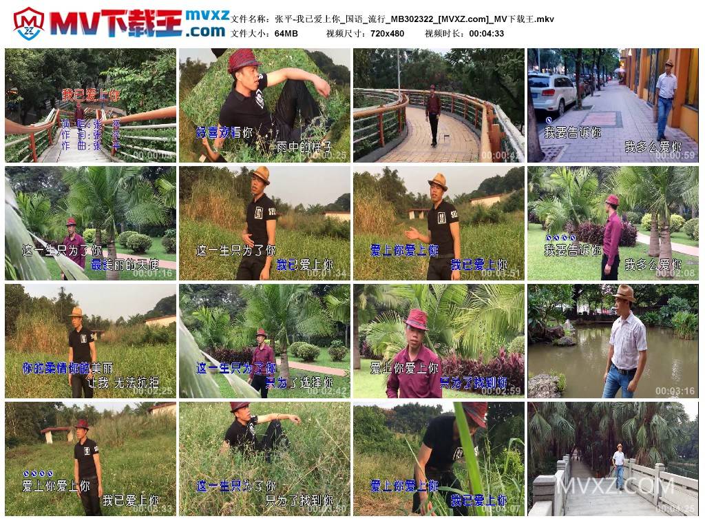 张平-我已爱上你_国语_流行_MB302322